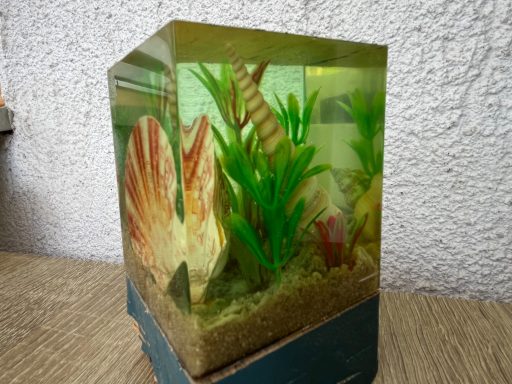 Unterwasserwelt