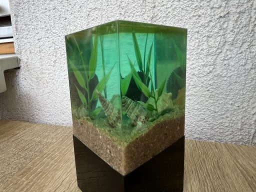Unterwasserwelt