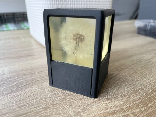 Pusteblume umhaust