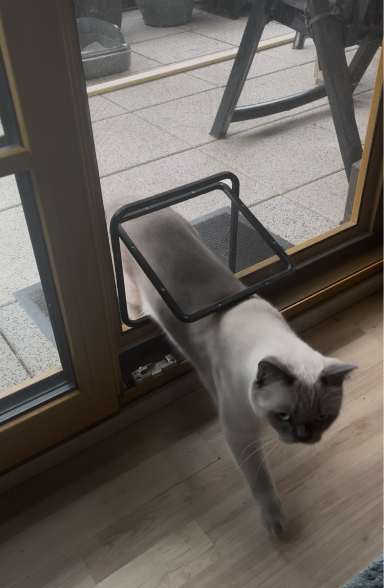 Katzenklappe